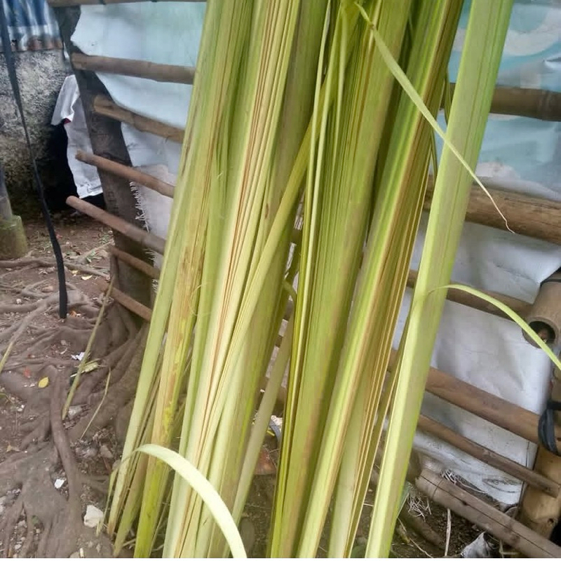 

janur kelapa dan ketupat super 30 pcs / 20pcs