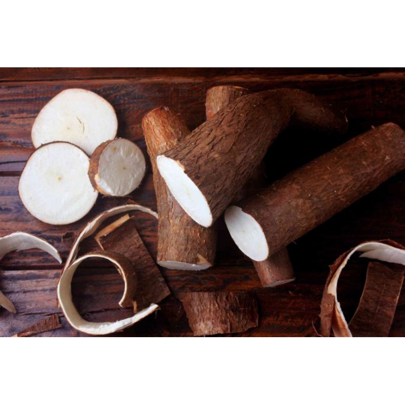 

1Kg Singkong Sepesial Berdaging Lembut