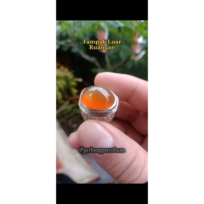 Batu akik Cempaka madu ngair kristal