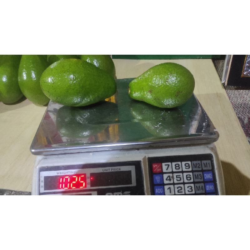 

alpokat pluwang export