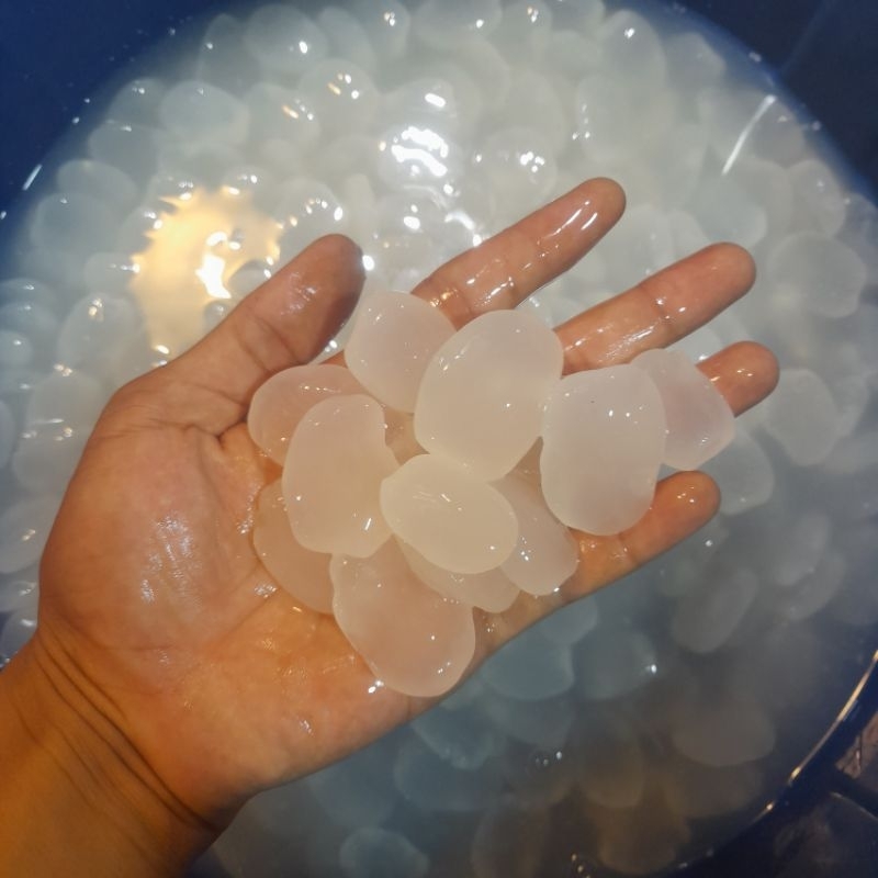 

kolang kaling berat 1kg