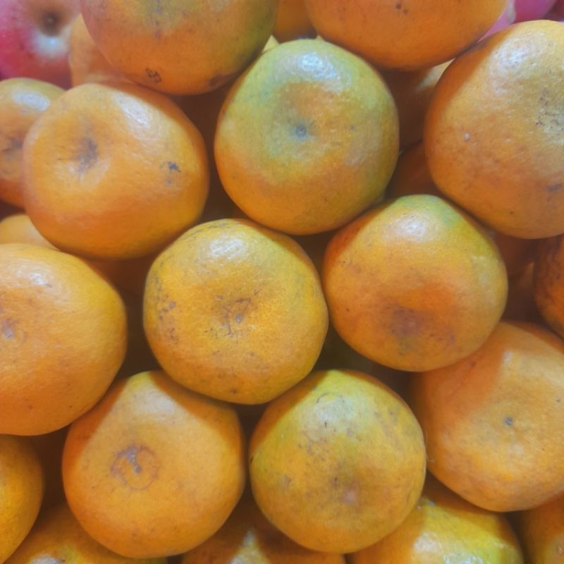 

jeruk medan segar berat 1kg