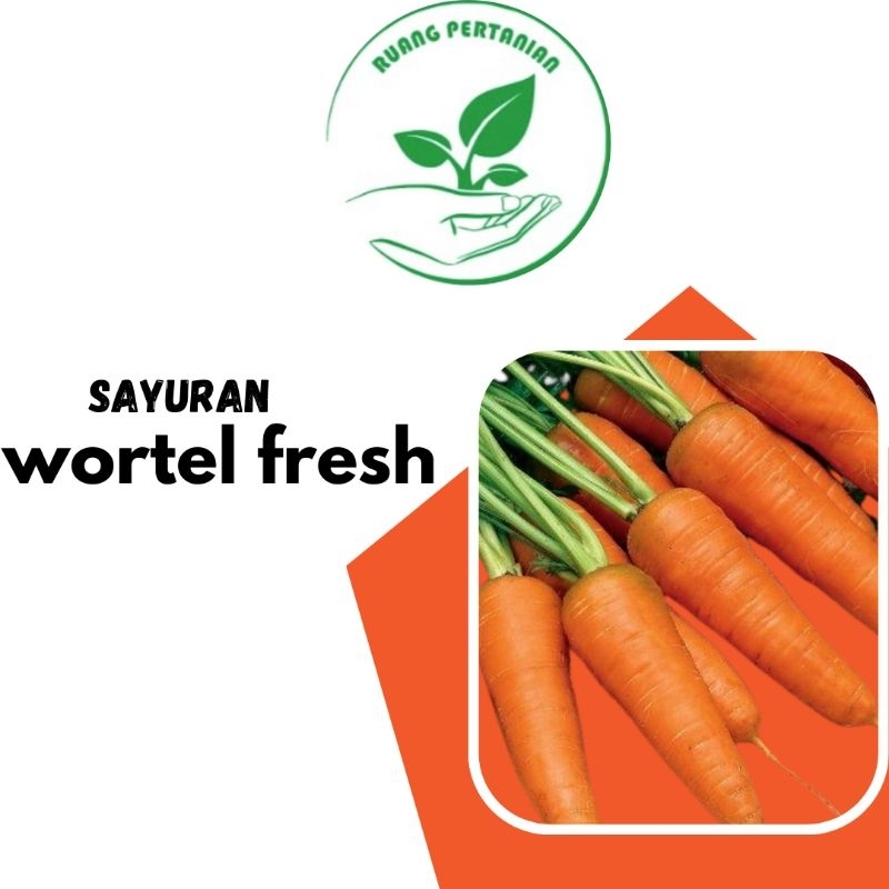 

Wortel segar | per 500g siap masak