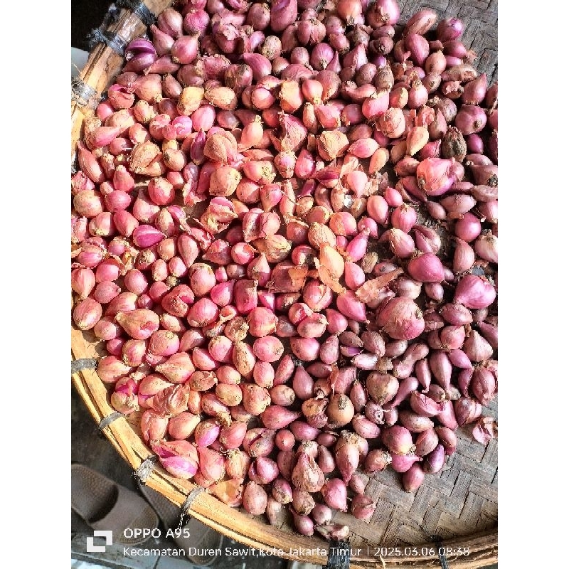 

Bawang Merah Brebes Rasa yang Khas Kualitas yang Terjamin 100 gram