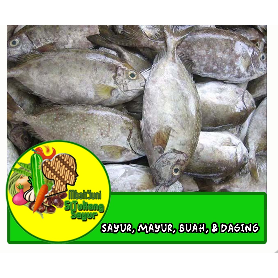 

Ikan Baronang Laut Bumbu Ungkep Kuning 1kg