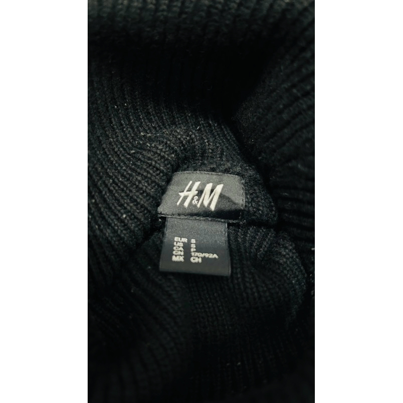H&M Turtleneck Knit