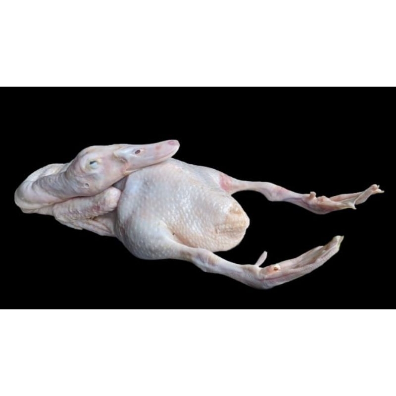 

Bebekkarkas