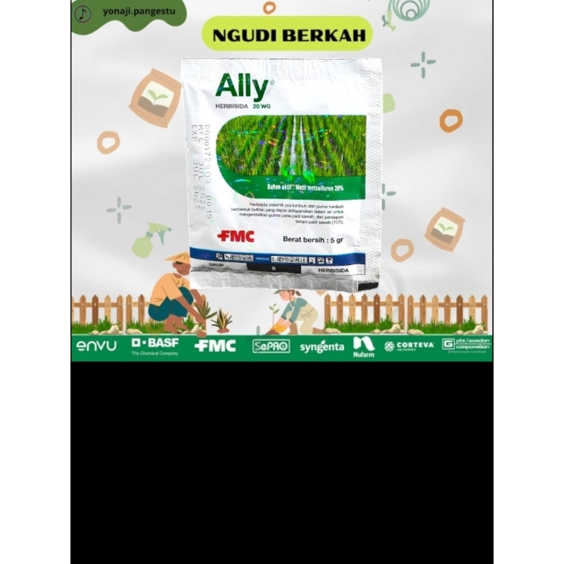 ally plus Ally Plus herbisida pada tanaman padi