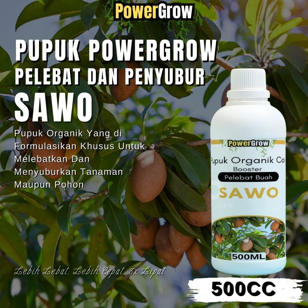 Pupuk Sawo Pemacu Pertumbuhan Bunga Dan Buah Booster Sawo Pelebat Buah Dan Pengurang Kerontokan