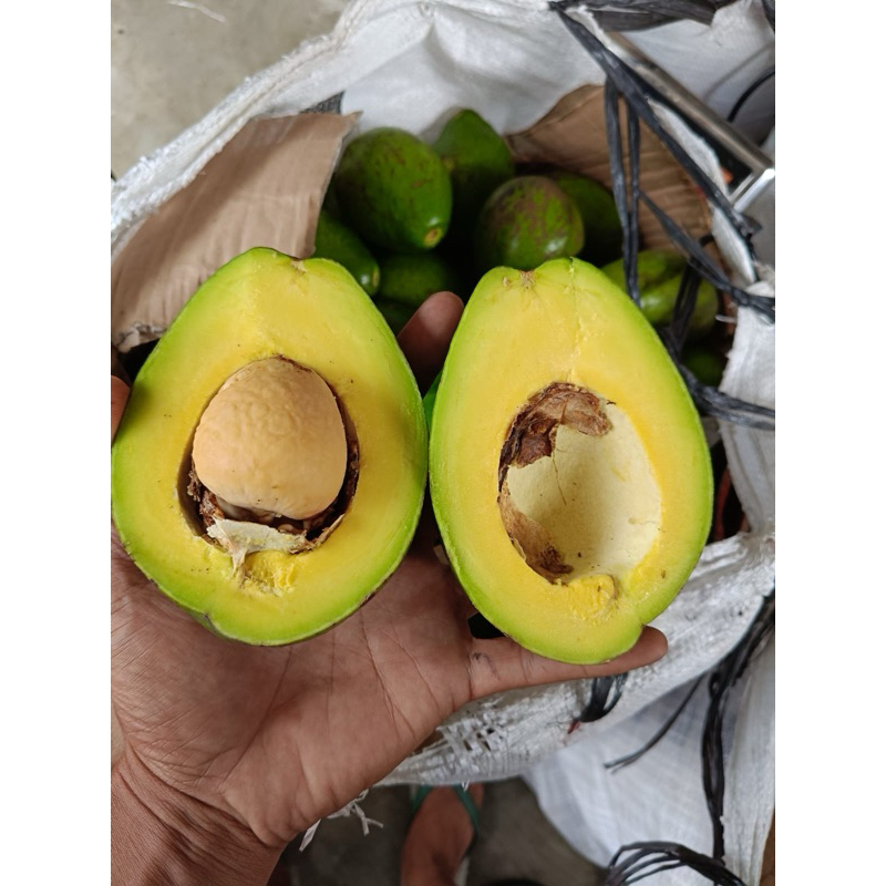

ALPUKAT MENTEGA 1KG