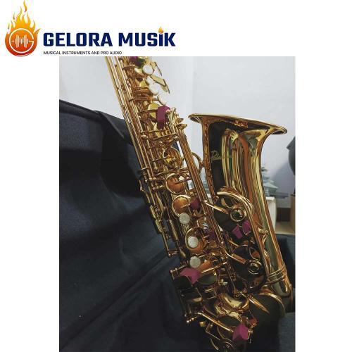 Alto Saxophone Paladin JAS-900 Gold