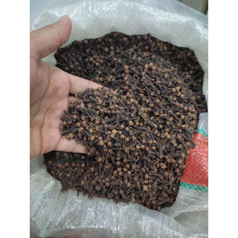 

CENGKEH 1KG/500 gr KERING PILIHAN KUALITAS TERBAIK LANGSUNG DARI PETANI