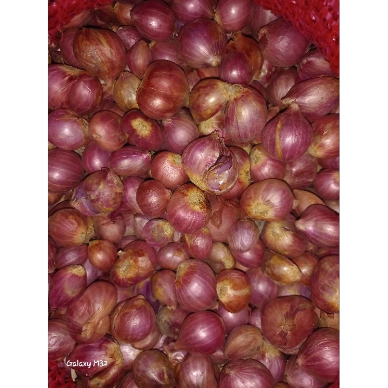 

Bawang Merah