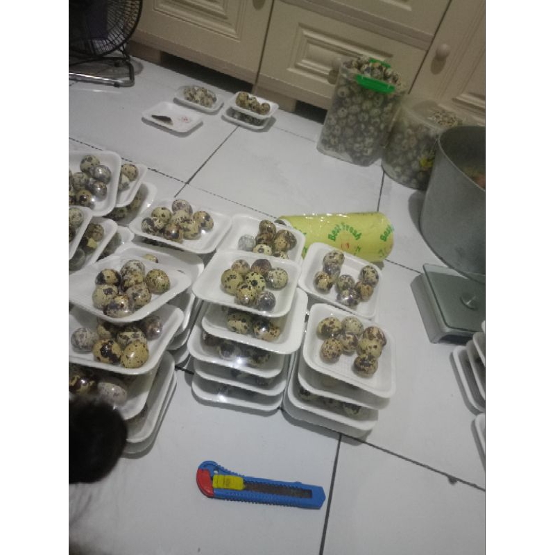 

telur puyuh matang