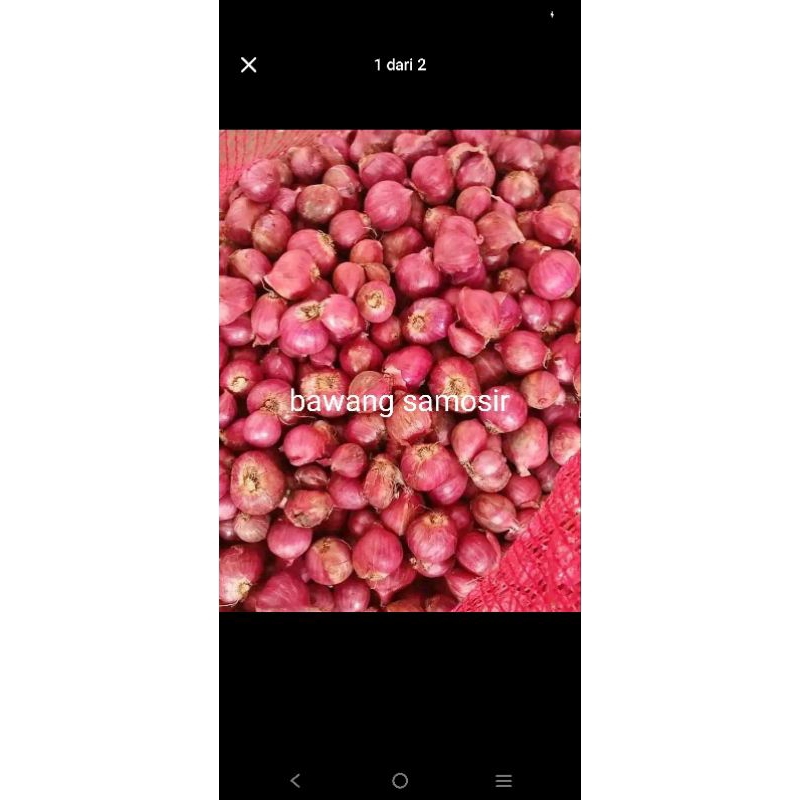

bawang merah