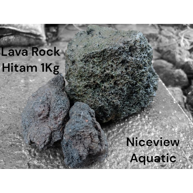 TERMURAH 1Kg Batu Lava rock  Aquascape / lava rock hitam / lavarok 500gram