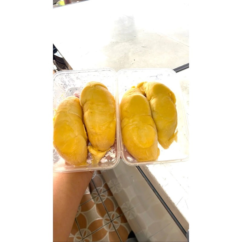 

DURIAN MONTHONG MONTONG DURIAN MONTHONG PREMIUM / DURIAN MONTONG GRADE A +± 500 GR FROZEN DUREN