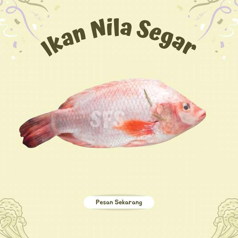 

IKAN NILA SEGAR 500 GR (READY PAGI JAM 7 - 8) Seafood - SAYUR FRESH SOLO