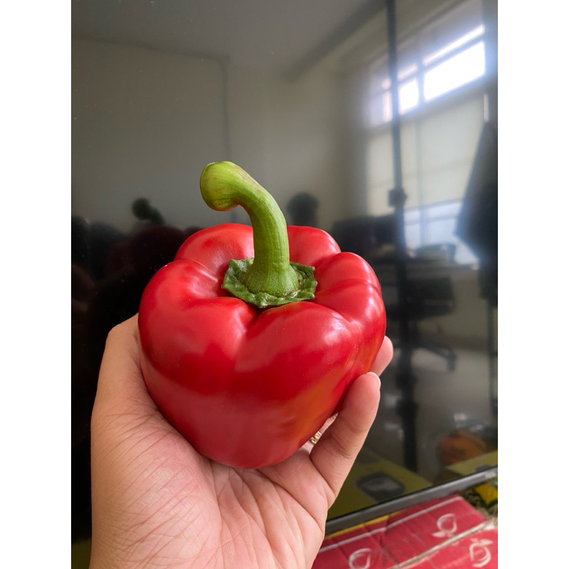 

Paprika Korea Premium (Merah)
