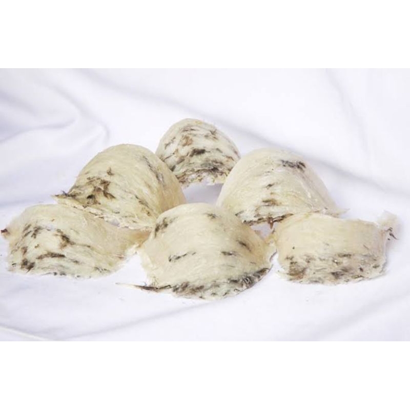 

Sarang walet bird nest 100 gram natural Kalimantan