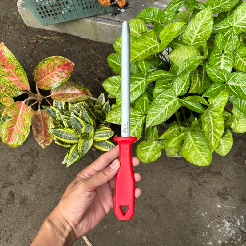 

Sharpening HMF Oval Turki 20cm