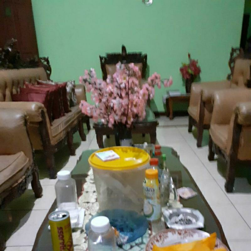 

produk link live 5kg harga 100rb
