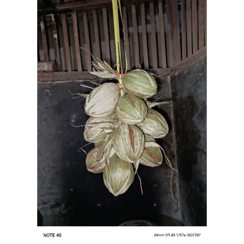 

gula aren satu keping