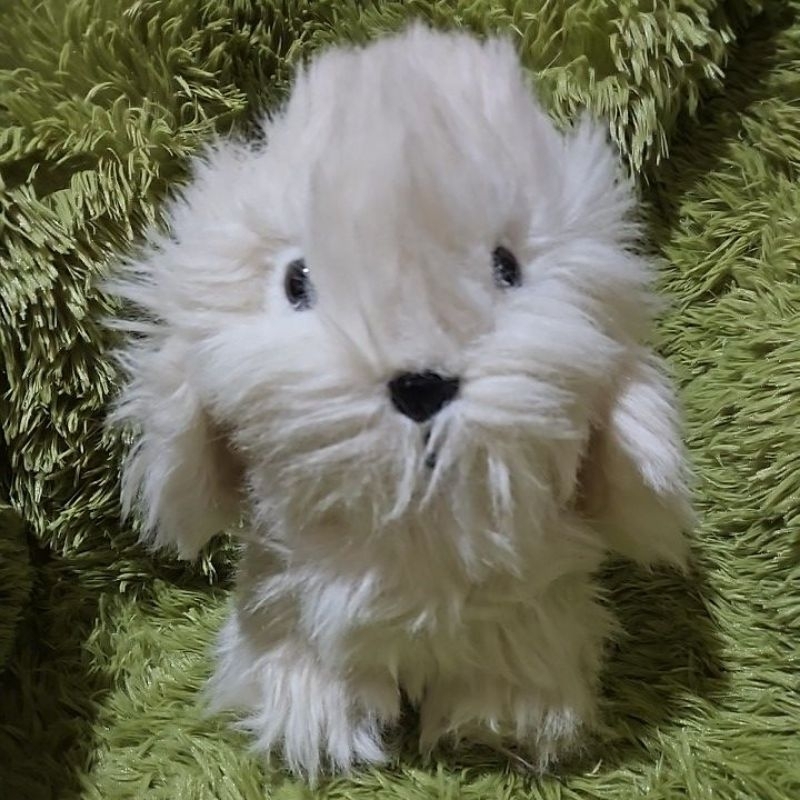 Boneka guguk lucuuuuu, bagus ( Russ ), tanggung