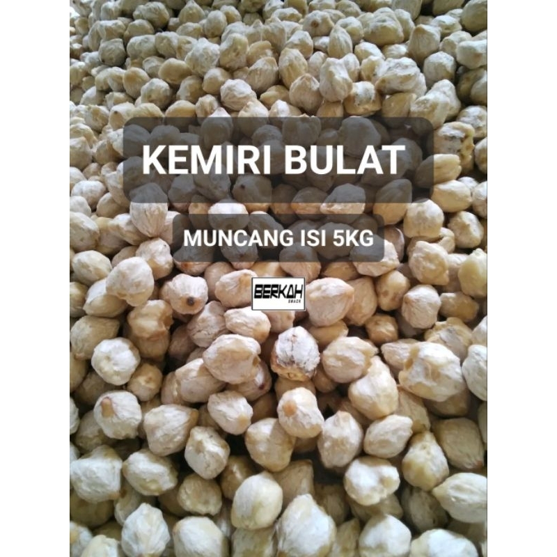 

Kemiri Bulat Isi 5Kg Muncang Bumbu Rempah Garut