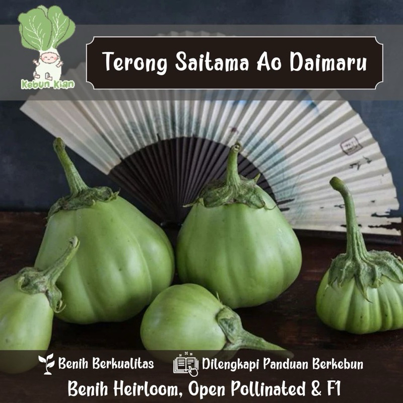 

10 Biji - Terong Saitama Ao Daimaru.