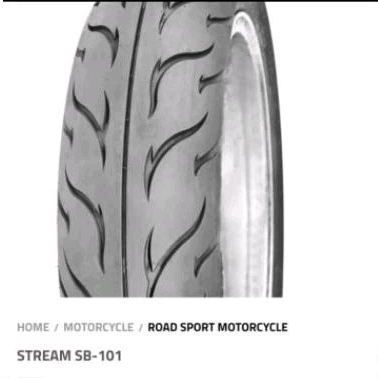 ban luar 100 70 18 swallow