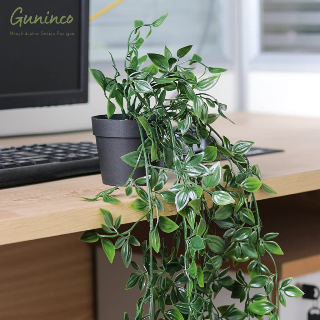 Raflezia Guninco Tanaman Hias Juntai Green Datura Tanaman Gantung Termasuk Pot Daun Rambat Palsu