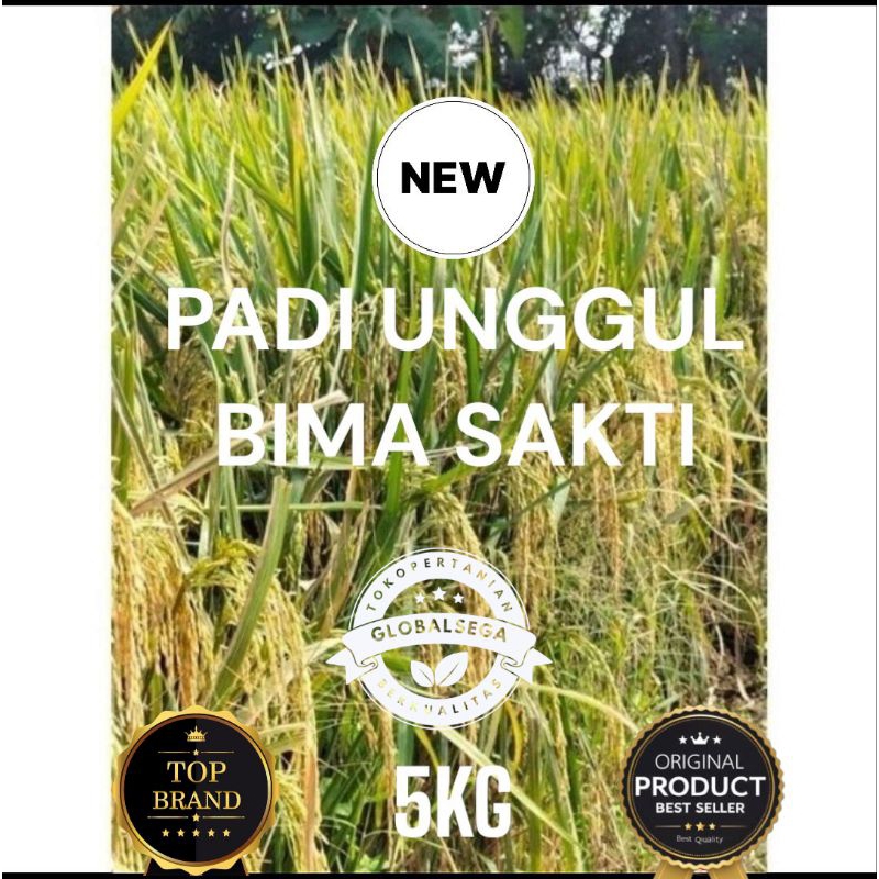 BIBIT PADI BENIH PADI BIMA SAKTI KEMASAN 5KG