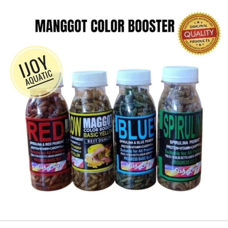MAGGOT kering Yellow red blue booster magot bsf pakan ikan predator, ikan channa, lohan, arwana