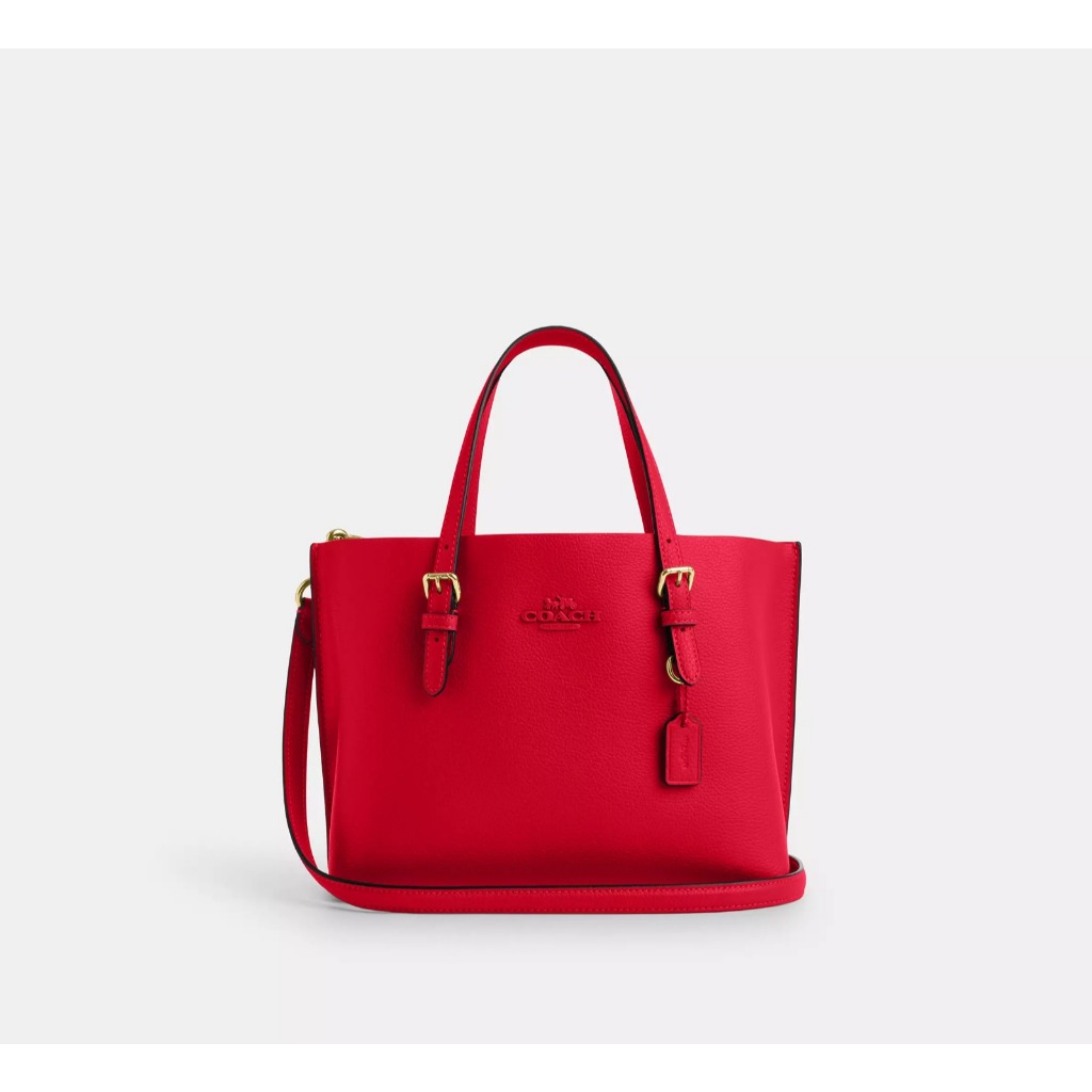COACH Mollie Tote Bag 25