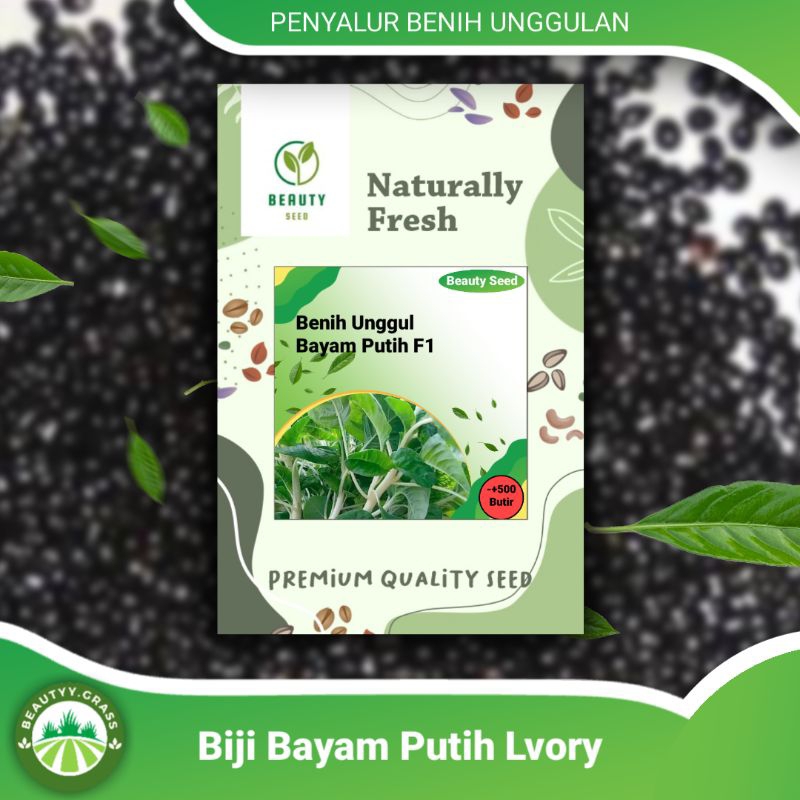 Benih Bayam Putih Lvory - (-+500) Benih Bayam Batang Putih F1