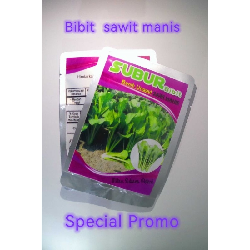 Bibit sawi manis