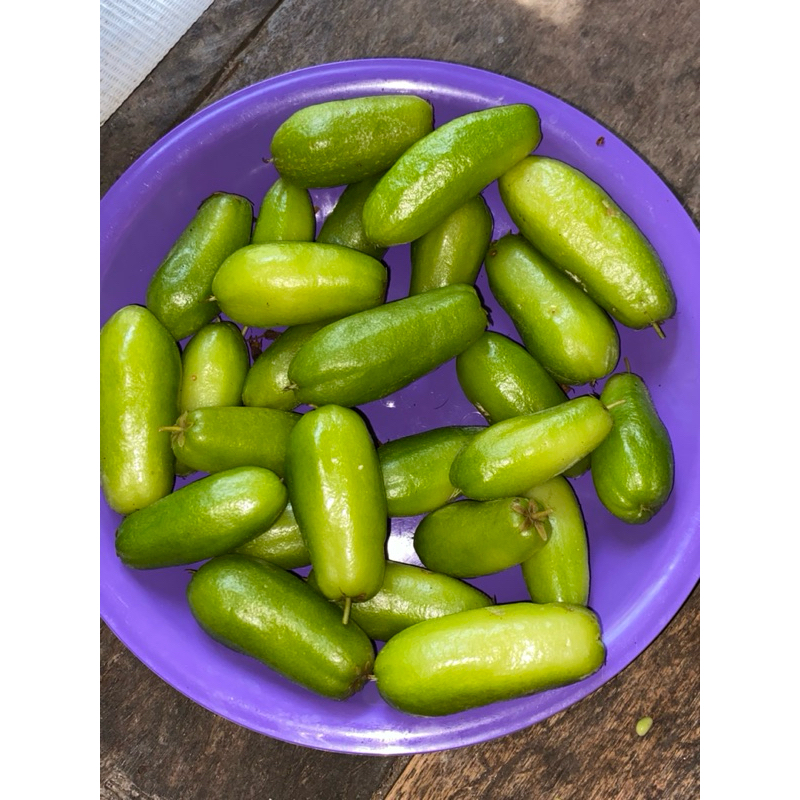 

BUAH BELIMBING TAIWAN SEGAR 300 GRAM SPECIAL RAMADAN BELI 2 FREE 1