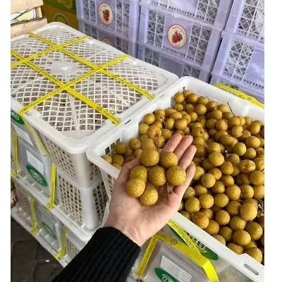 

Kelengkeng Super 500 gram