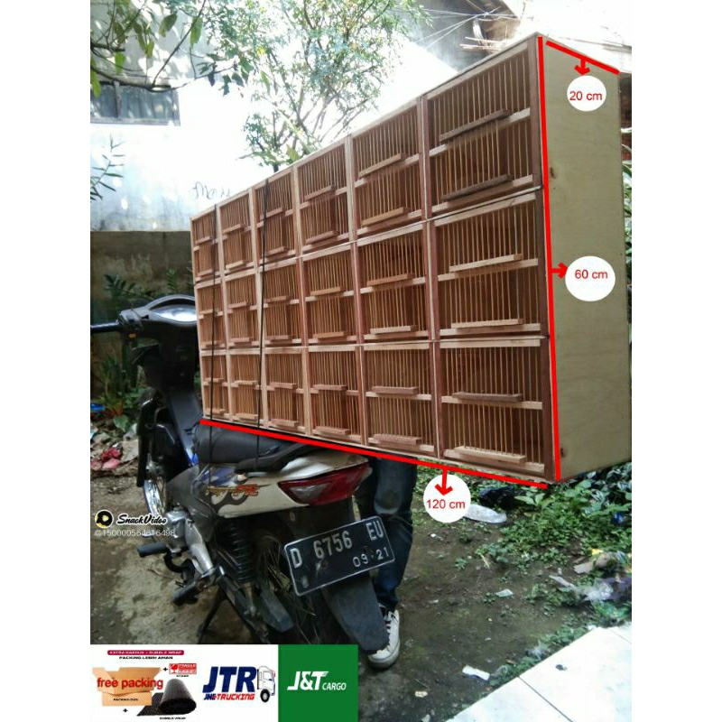 kandang box burung