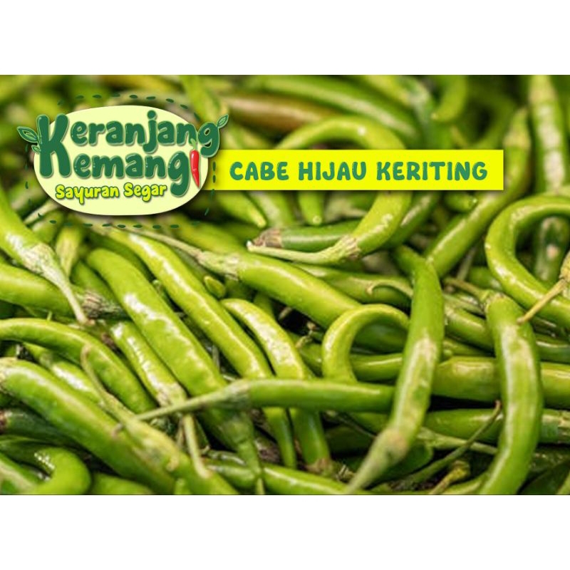 

Cabe Hijau Keriting