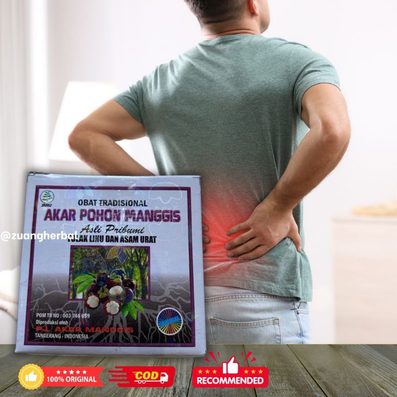 

Herbal Akar Pohon Manggis Obat Nyeri Sendi 100% Manjur