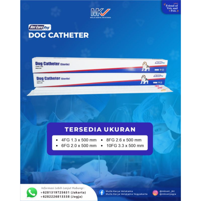dog catheter/kateter anjing vet care pro
