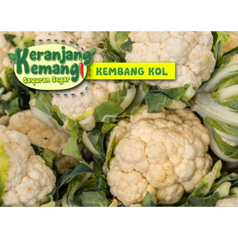 

Kembang Kol Segar