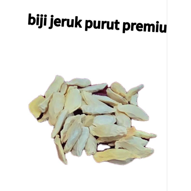 

10 Biji bibit unggul Jeruk Purut/Jeruk Pecel Premium