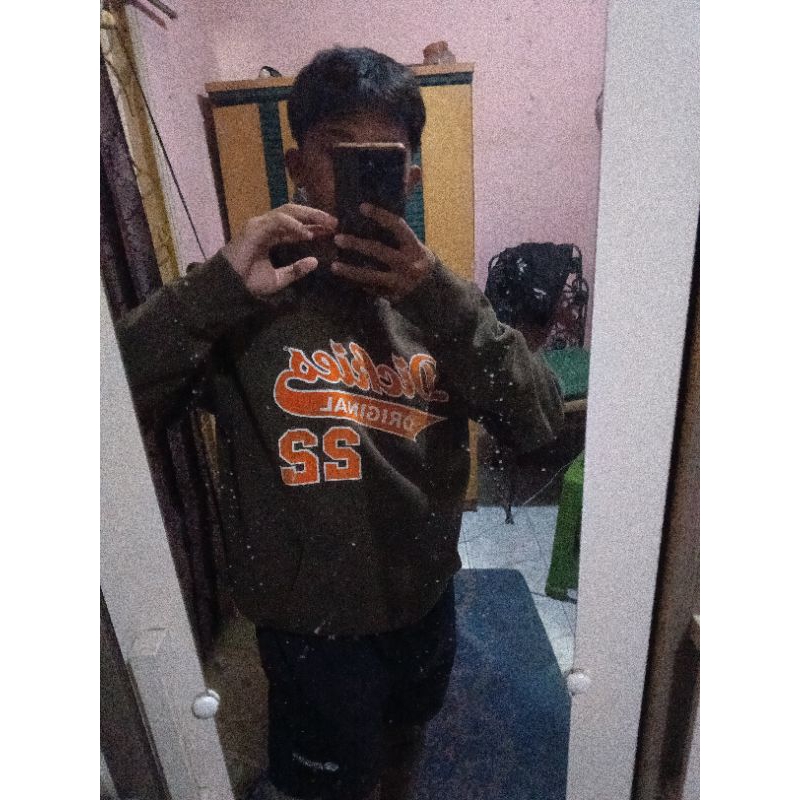 hodie dickies art 22 vv