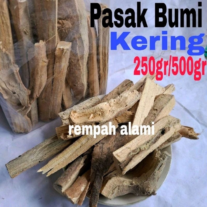 

Akar / Kayu Pasak Bumi 250/500gr