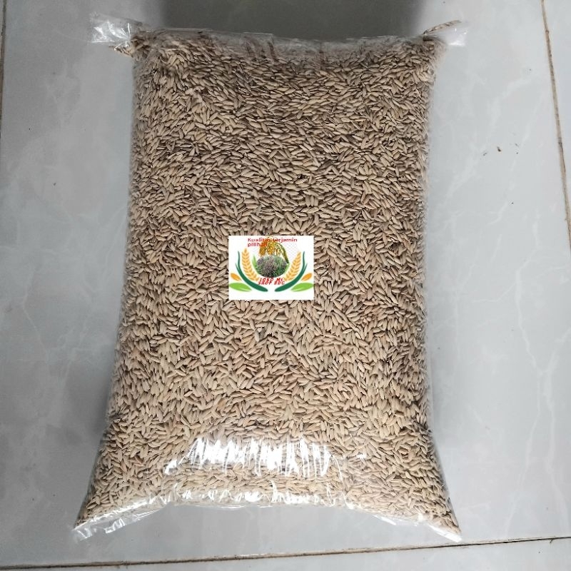 Hemat bibit benih padi inpari 12 super citarum beras putih pulen pilihan