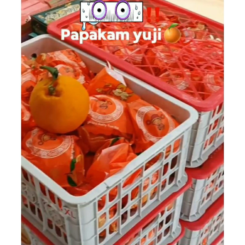 

jeruk dekopon yuji 1kg