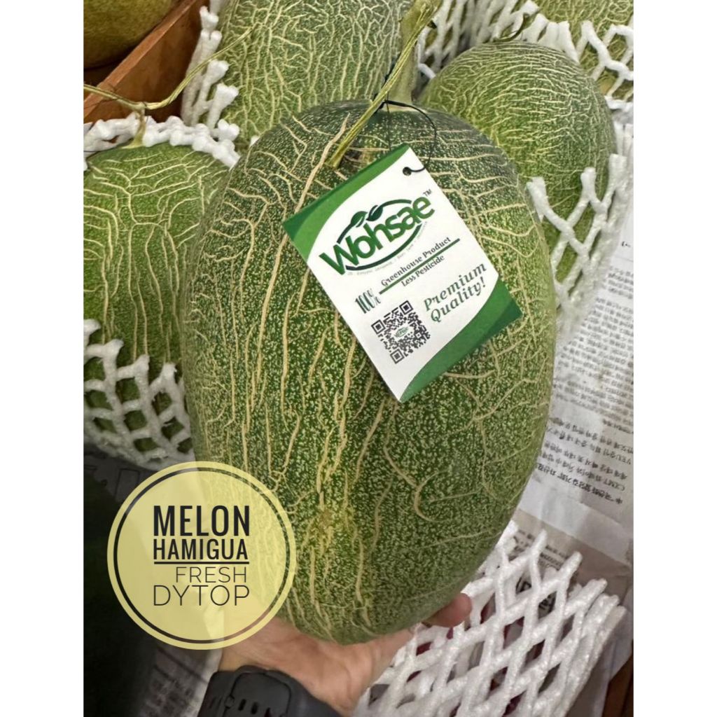 

Buah Melon Hamigua Melon Import Oren Manis Enak